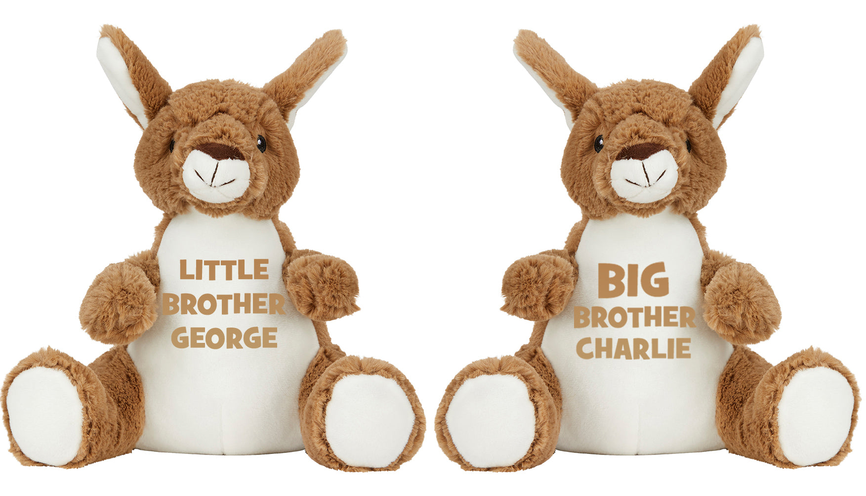 Big brother little hot sale brother teddy bear