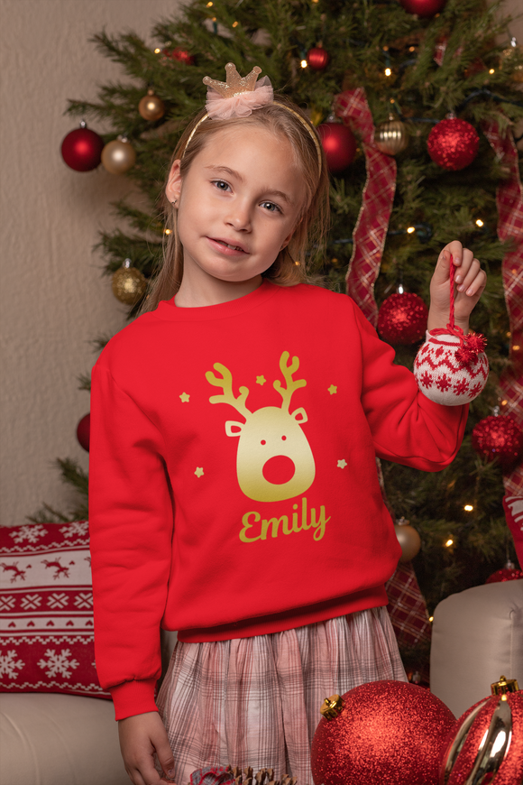 Personalised Matching Christmas Jumper Kids Adults Jumper With Gold Reindeer